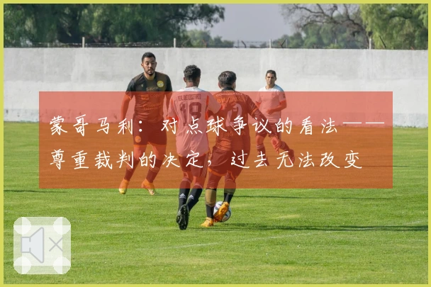 蒙哥马利：对点球争议的看法——尊重裁判的决定，过去无法改变